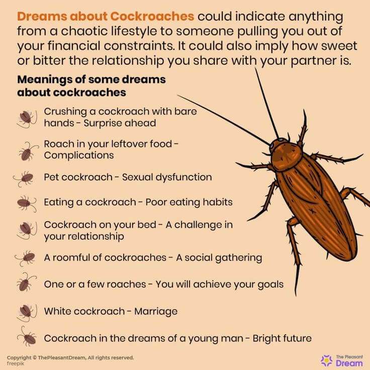 Unveiling the Meaning of Dreaming About Roaches: Interpretation and Symbolism