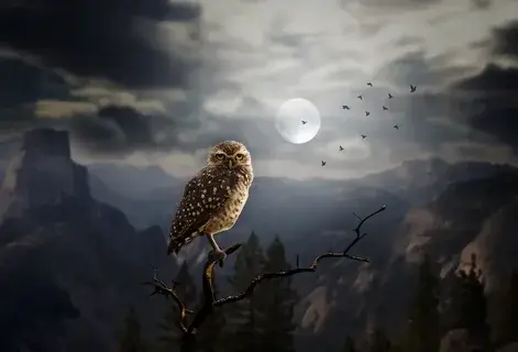 Unveiling the Symbolic Meaning of Owls in Dreams: A Fascinating Insight