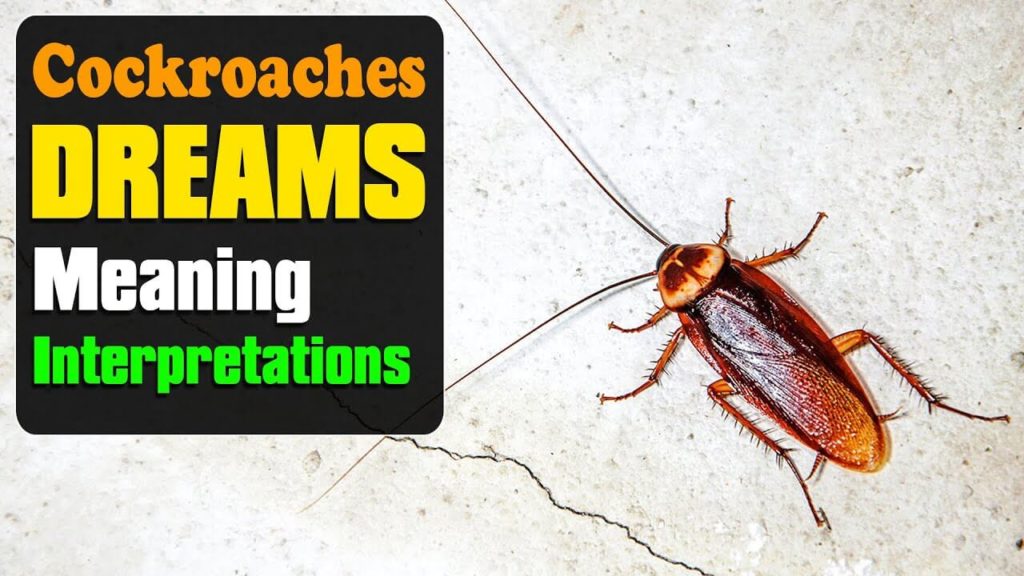 Unveiling the Biblical Meaning of Dreaming of Cockroaches: Spiritual Symbolism Revealed