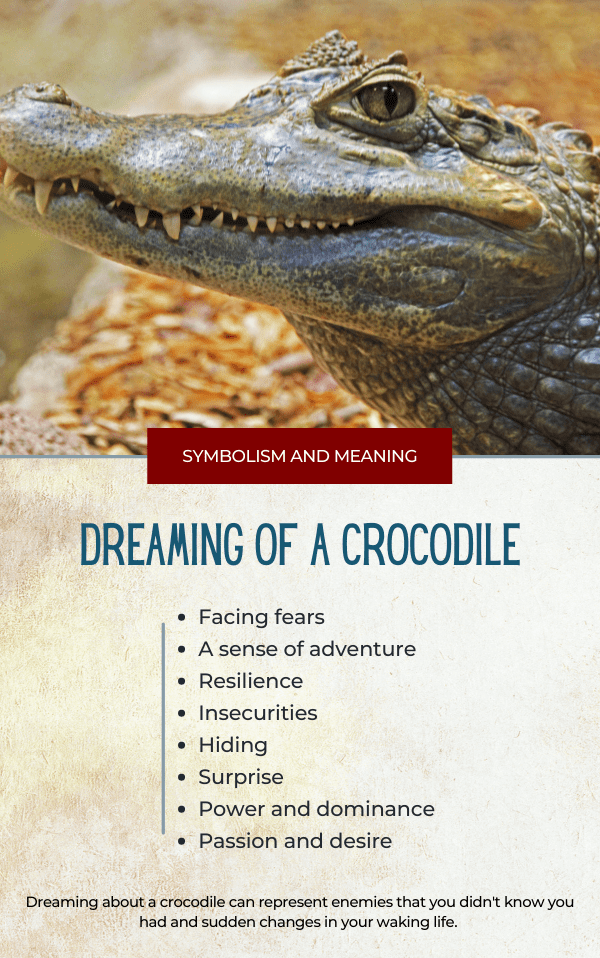 Dreaming Of A Crocodile