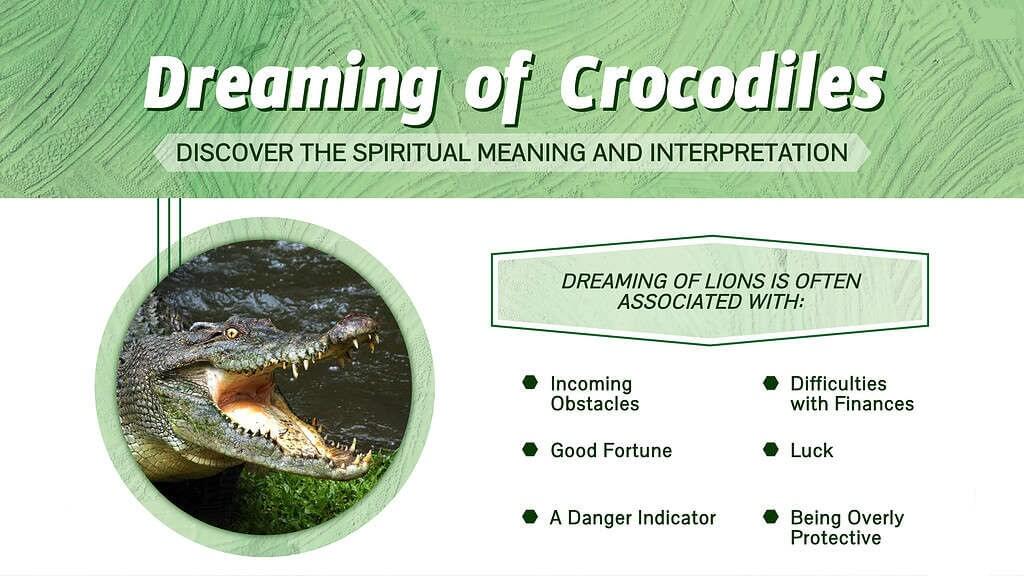 Dreaming Of Crocodiles