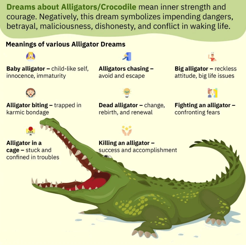Dreams About Alligators