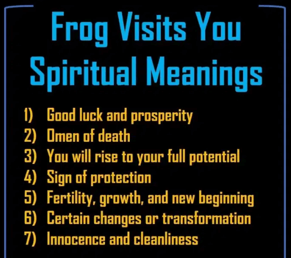 Frog Visits You Spiritual Meaning