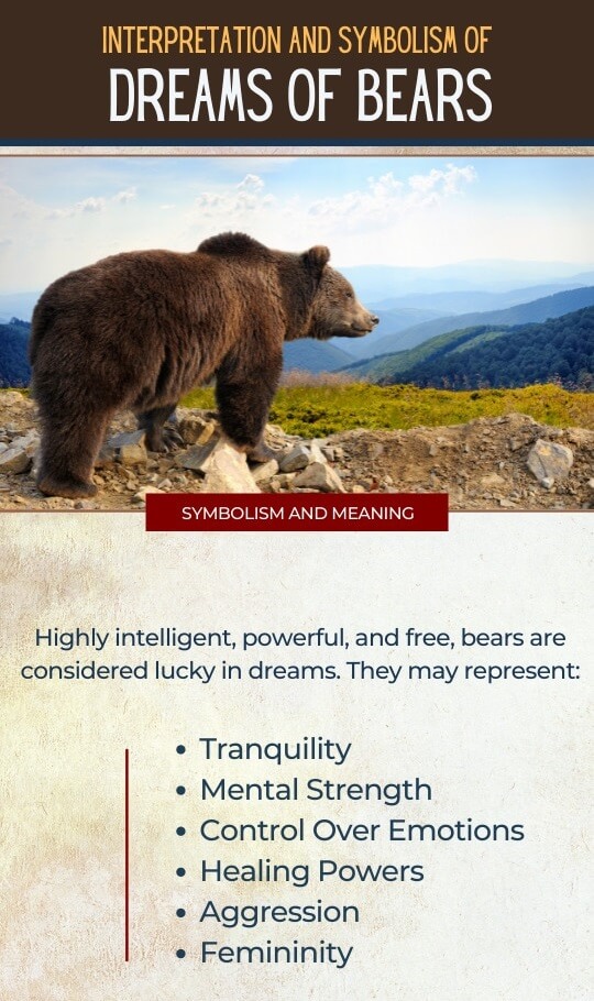 Interpretation and Symbolism of Dreams of Bears