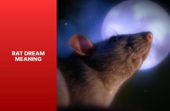 Rat Dream Meaning