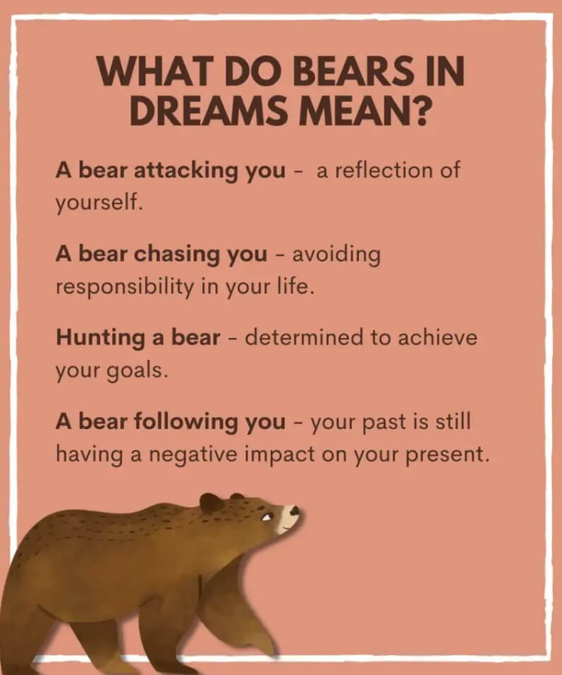 What Do Bears in Dreams Mean?