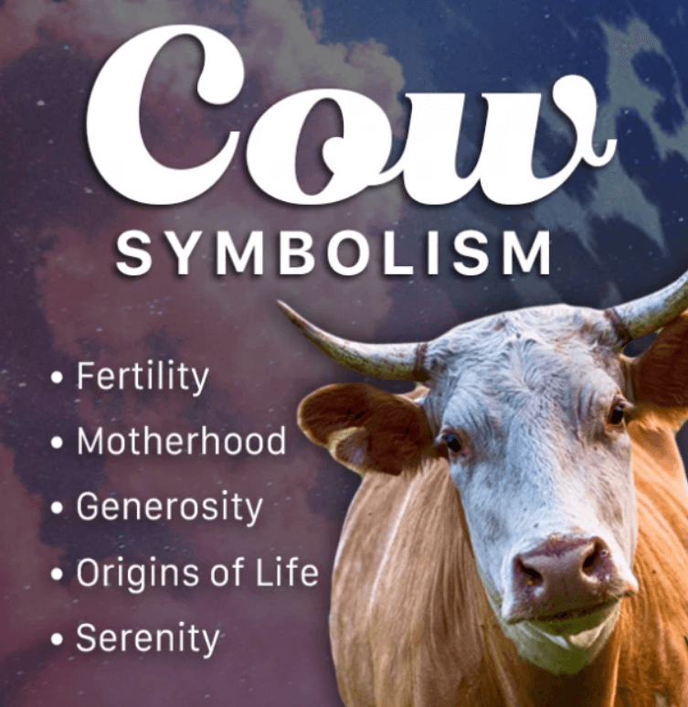 Brown Cow Symbolism