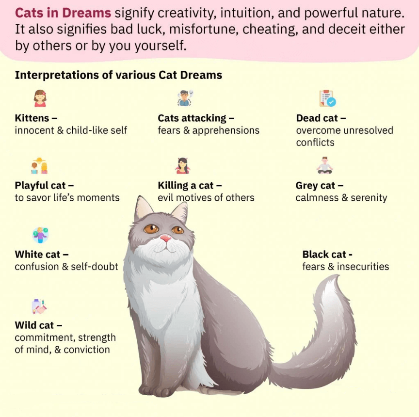 Cats in Dreams