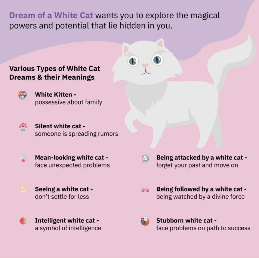 Dream Of a White Cat