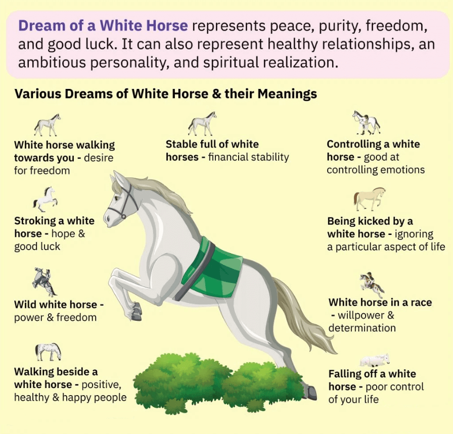 Dream Of a White Horse