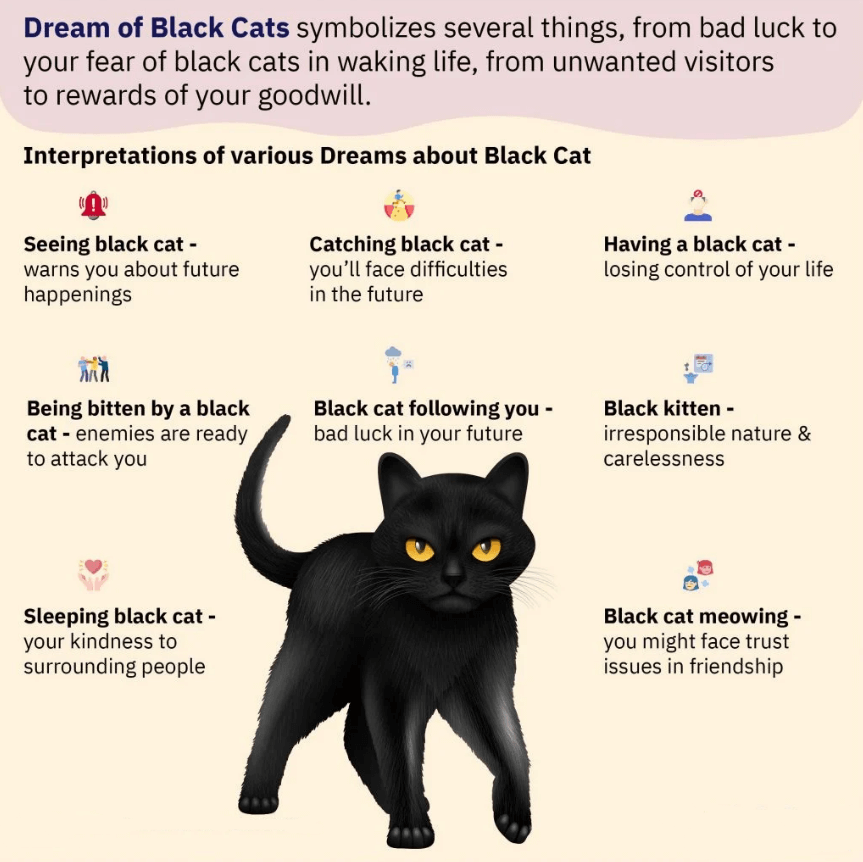 Dream of Black Cats