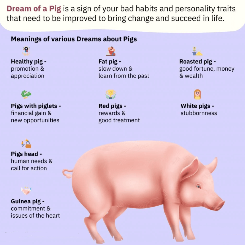 Dream of a Pig