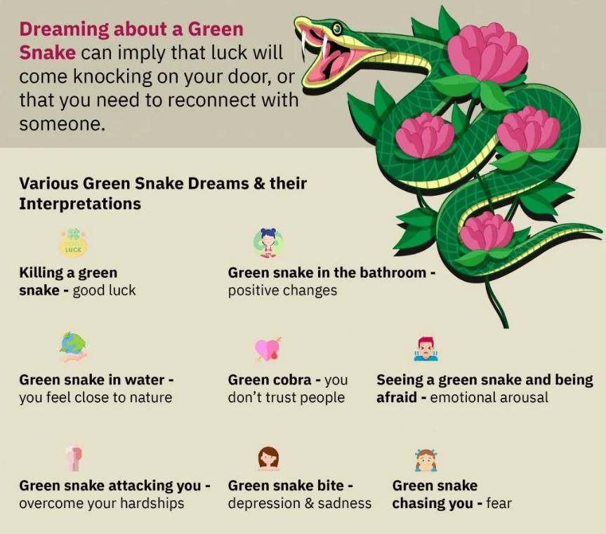 Green Snake Dream Meaning: Symbols and Significance