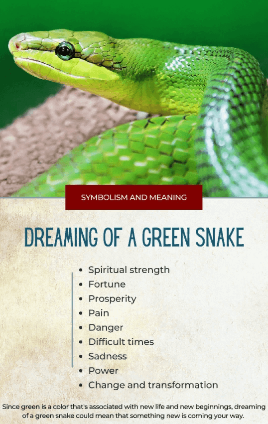 Dreaming Of A Green Snake