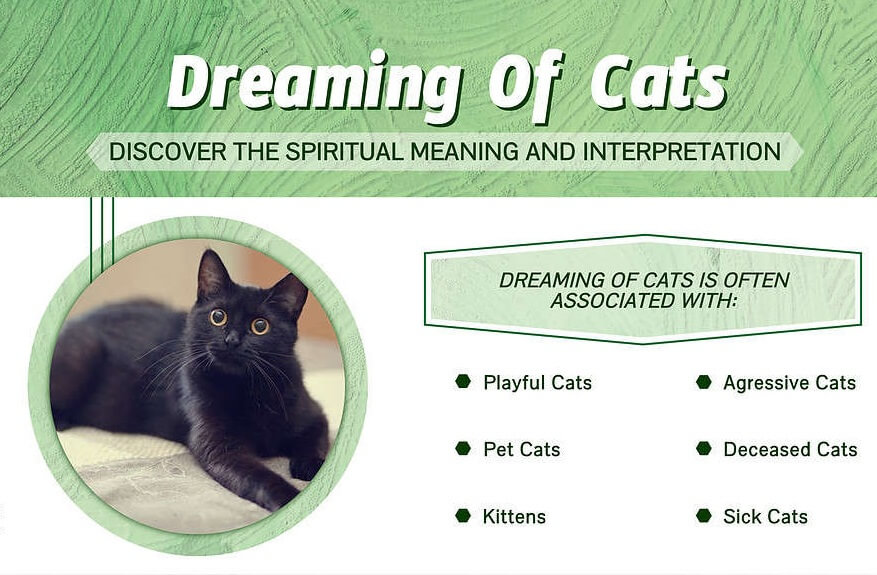 Dreaming Of Cats