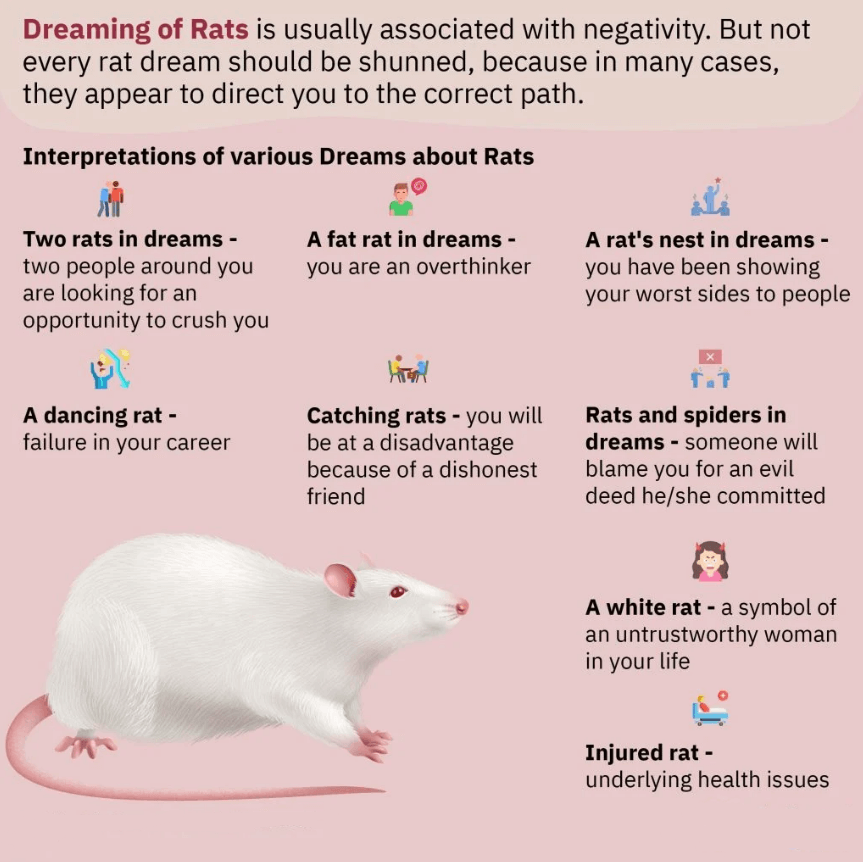 Dreaming Of Rats