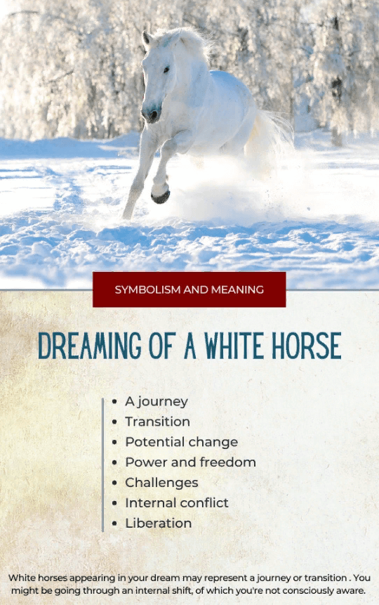 Dreaming Of a White Horse