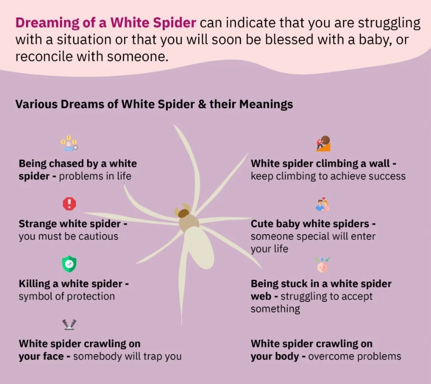 Dreaming Of a White Spider