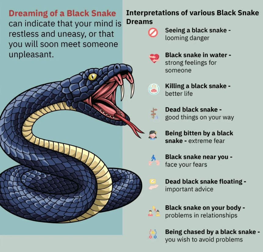 Dreaming of a Black Snake
