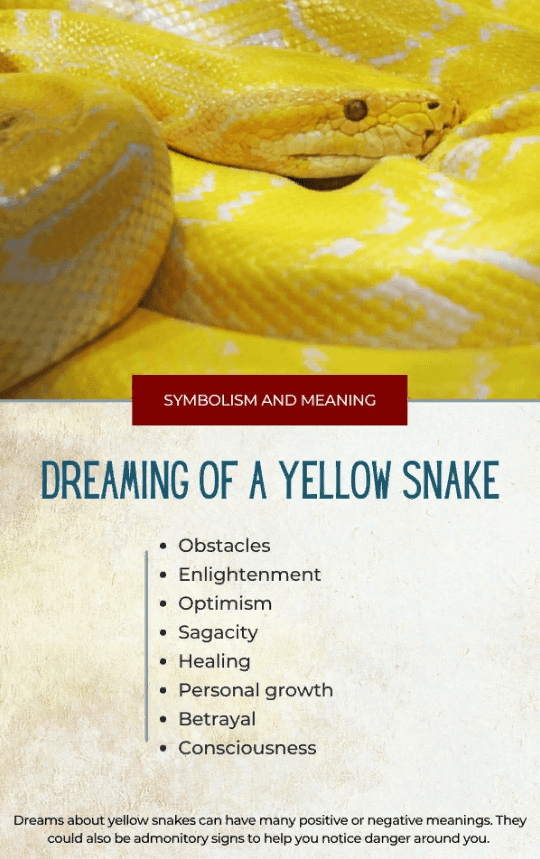 Dreaming of a Yellow Snake