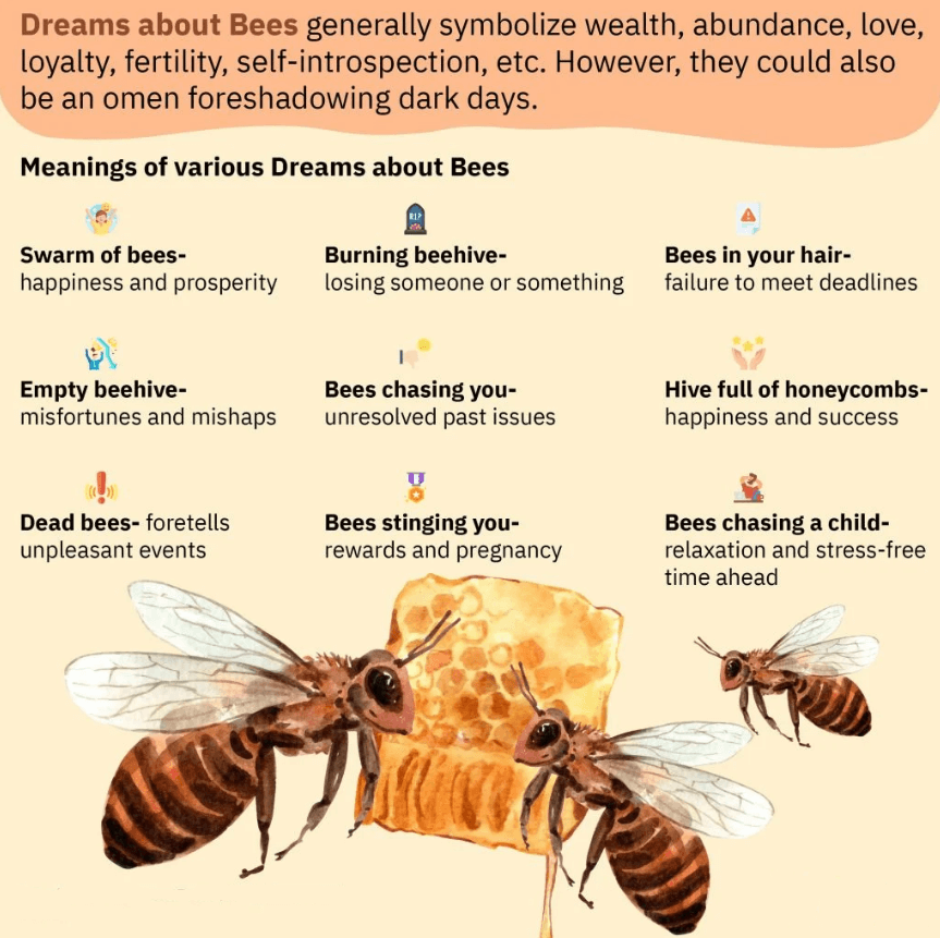 Dreams About Bees