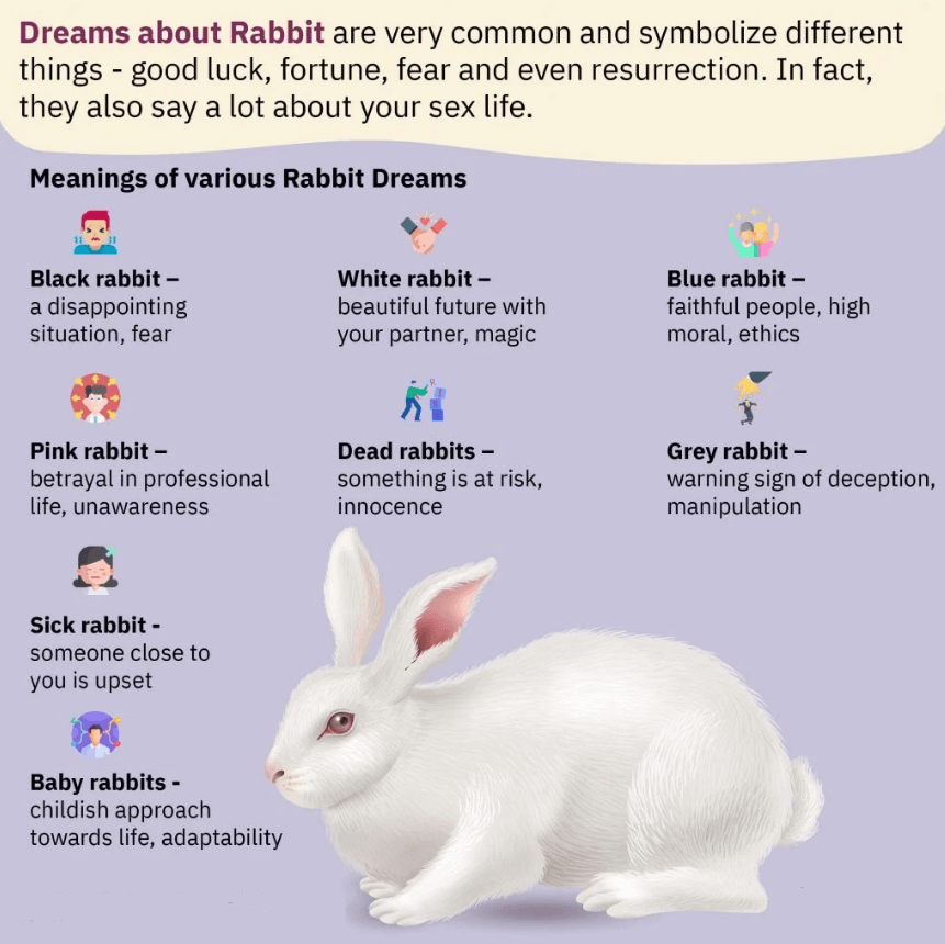 Dreams About Rabbit