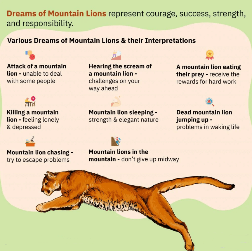 Dreams of Mountain Lions