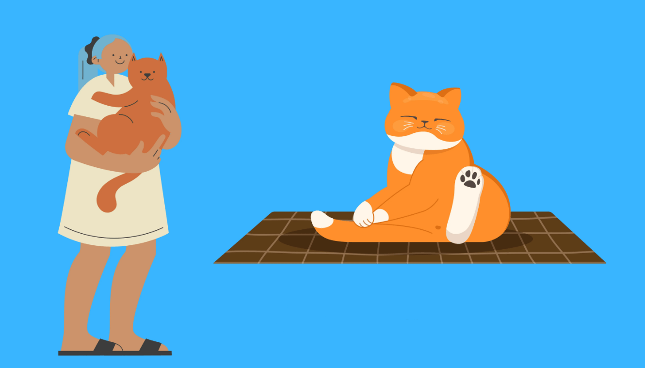 Orange Cat Meaning
