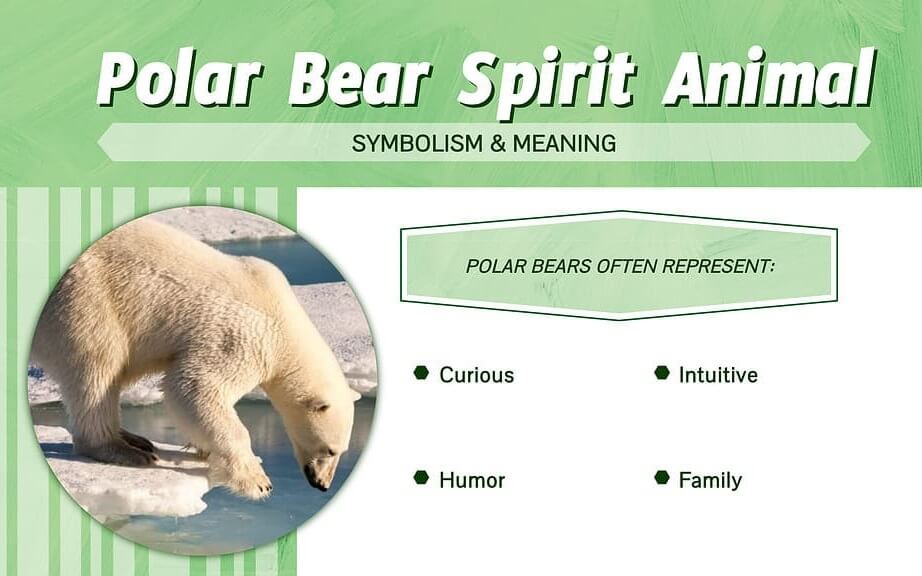 Polar Bear Spirit Animal