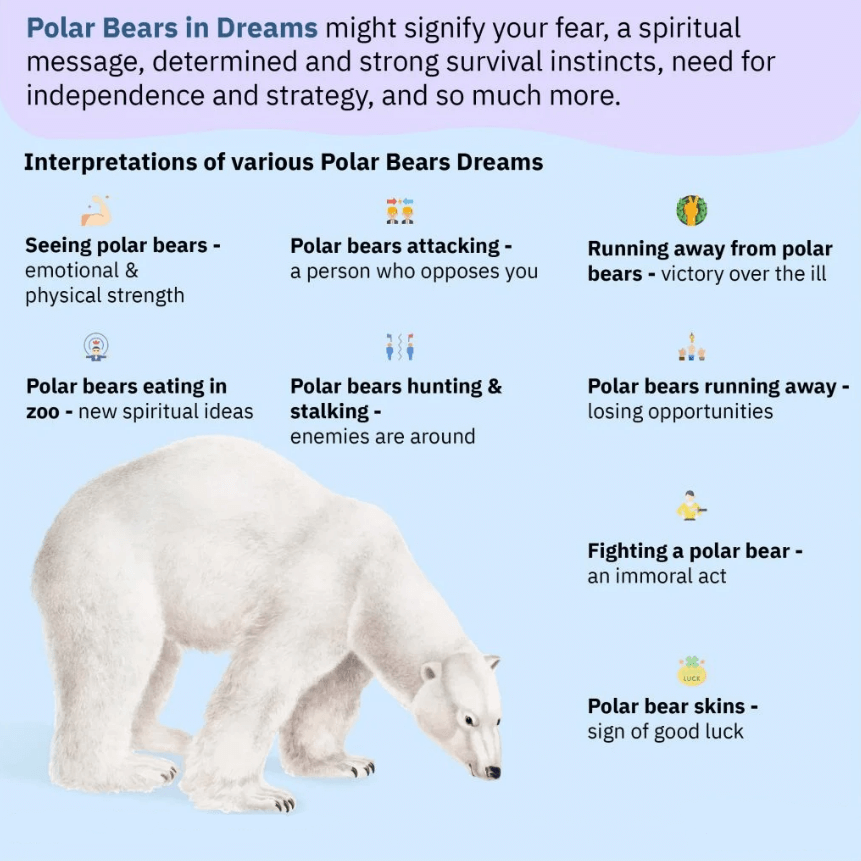 Polar Bears in Dreams