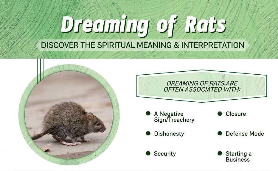 Rats Dream Meaning