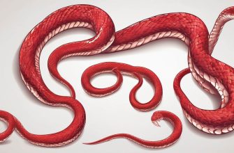 Red Snake Dream Meaning