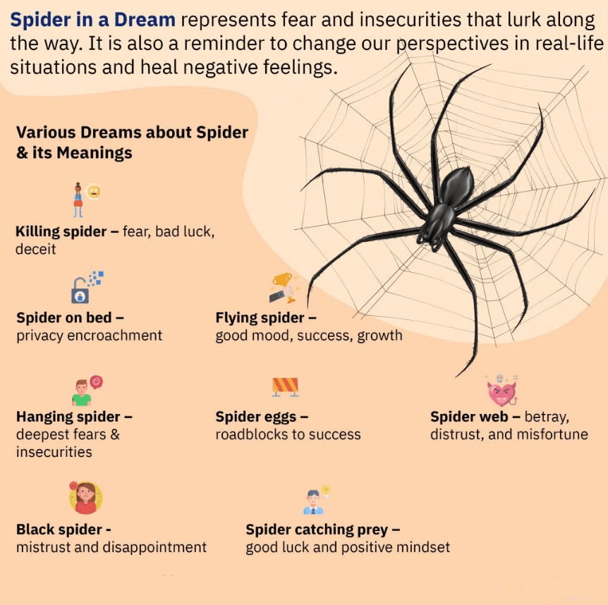 Killing Spider Dream Meaning: Symbols and Significance