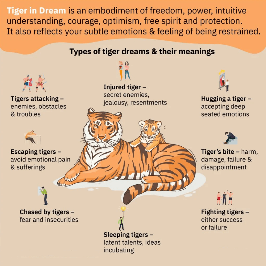 Tiger In Dream