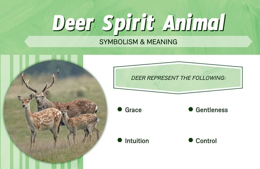 Deer Spirit Animal