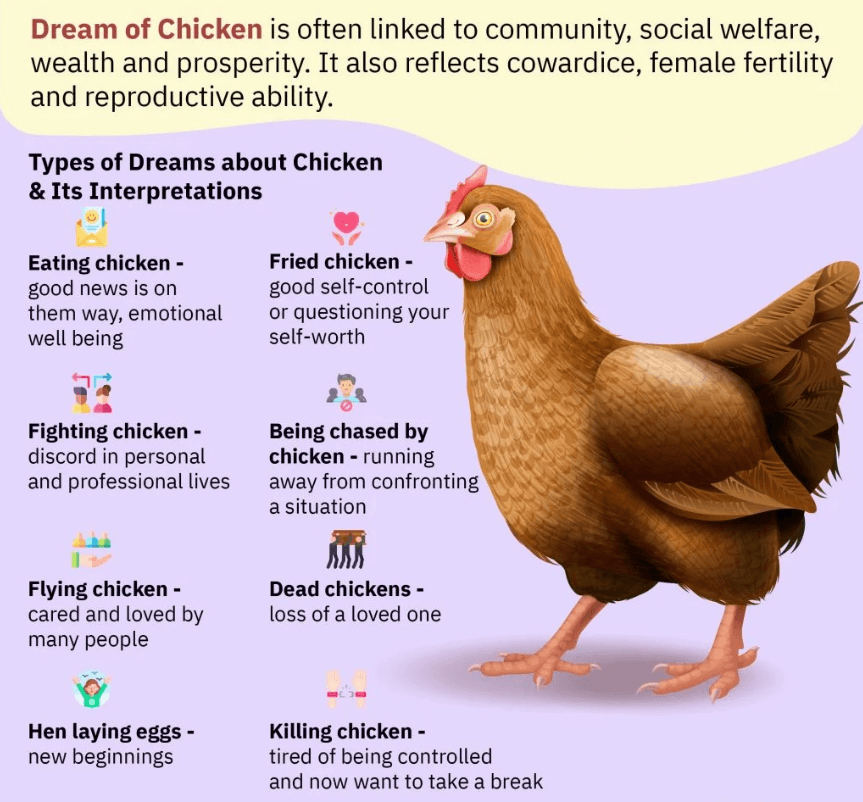 Dream of Chicken