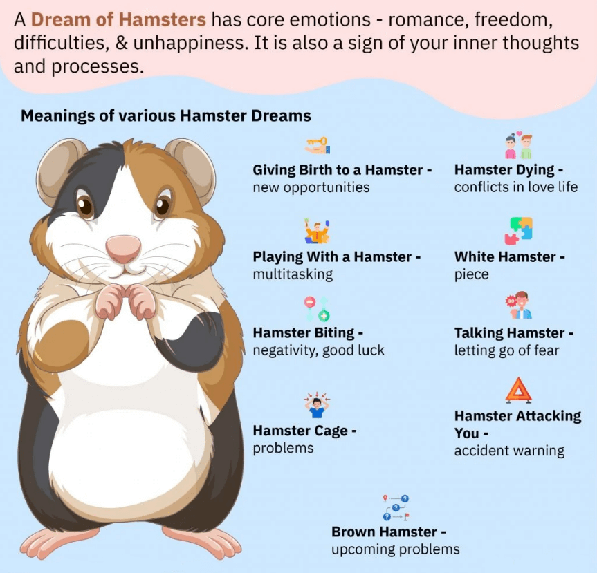 Dream of Hamsters