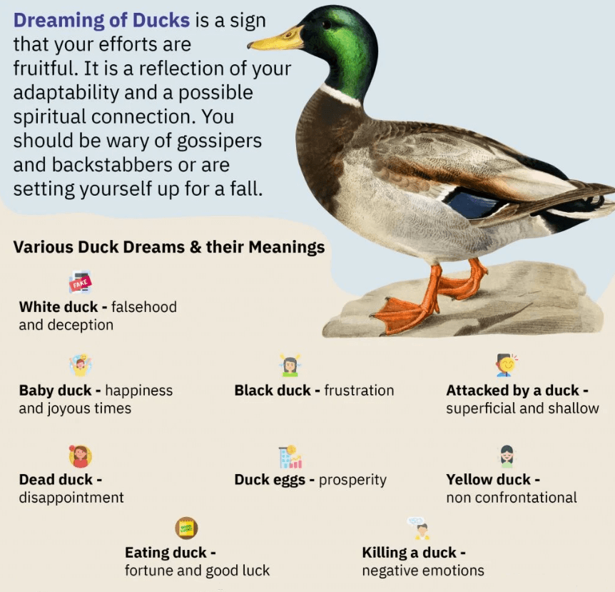 Dreaming of Ducks