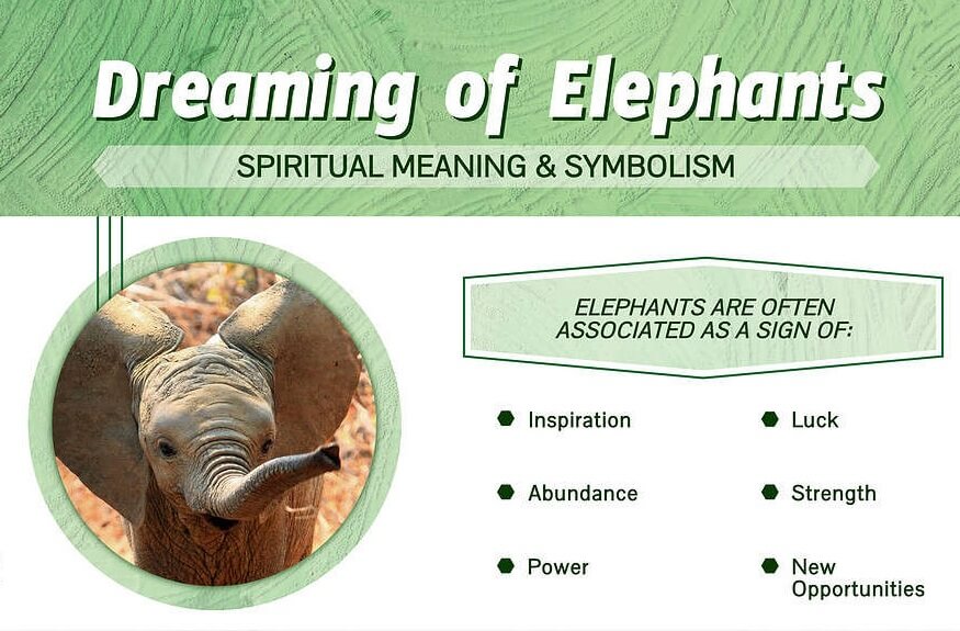 Dreaming of Elephants