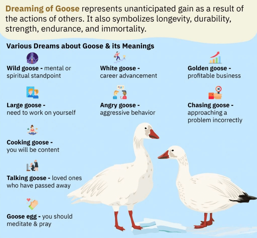 Dreaming of Goose