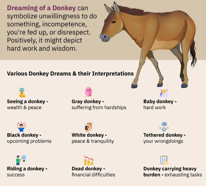 Dreaming of a Donkey