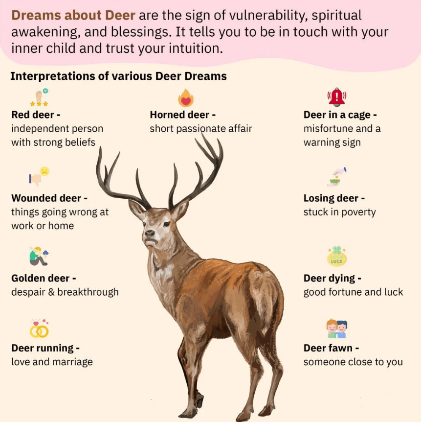Dreams about Deer