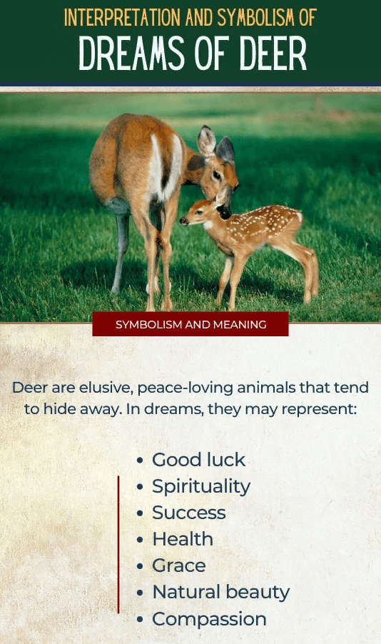 Dreams of Deer