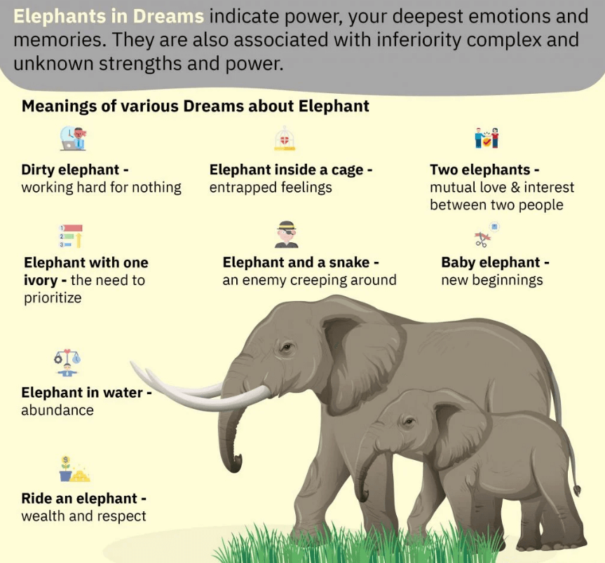 Elephants in Dreams