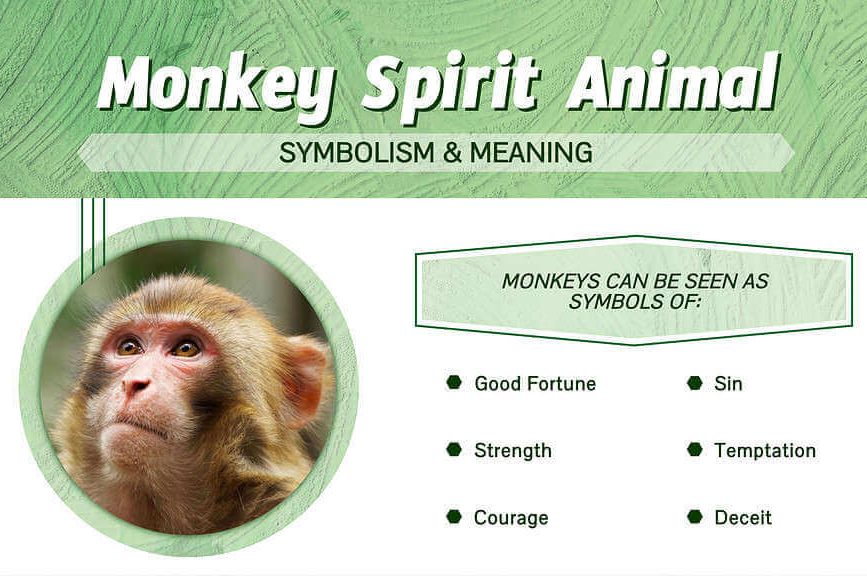 Monkey Spirit Animal