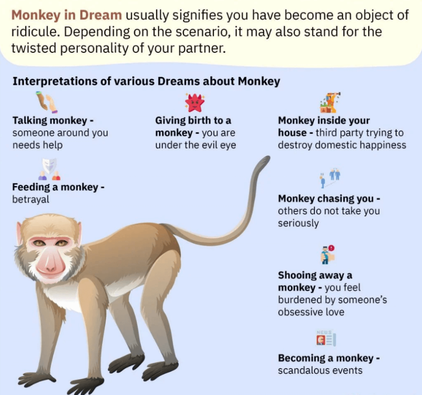 Monkey in Dream