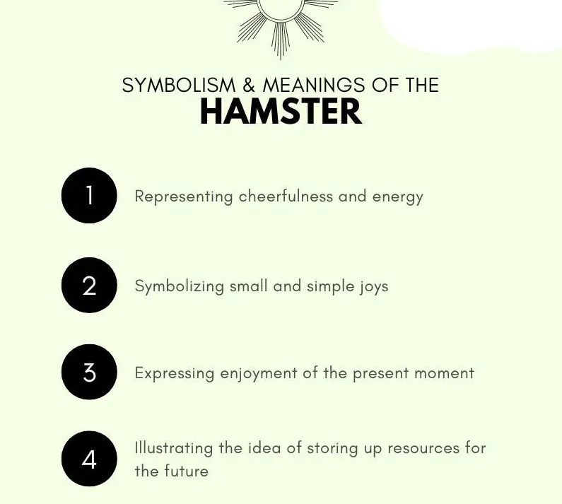 Symbolism and Meaning of the Hamster